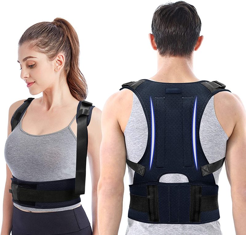 Backbone Support belt